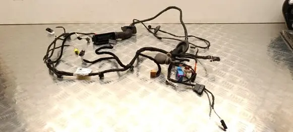Skoda Enyaq iV Front door wiring loom 5LC971120