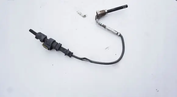 Exhaust gas temperature sensor