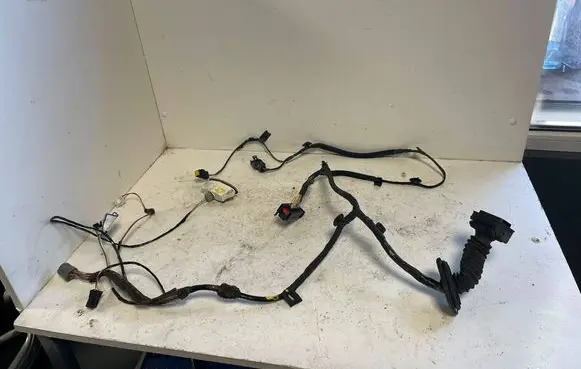 Renault Espace IV Front door wiring loom 8200517568