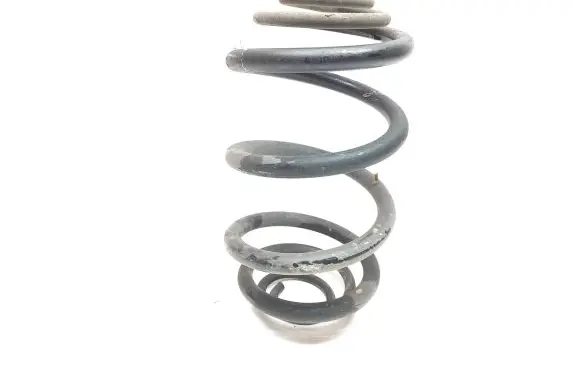 Renault Trafic III (X82) Rear coil spring