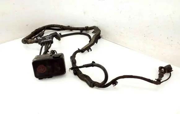 Positive wiring loom