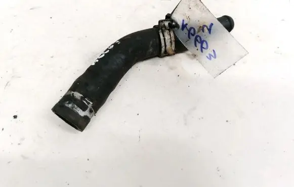 Ford Focus Engine coolant pipe/hose