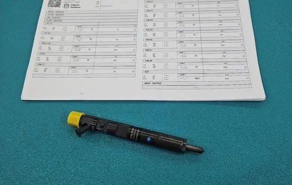 Renault Clio III Fuel injector EJBR05102D IMPRK1584259