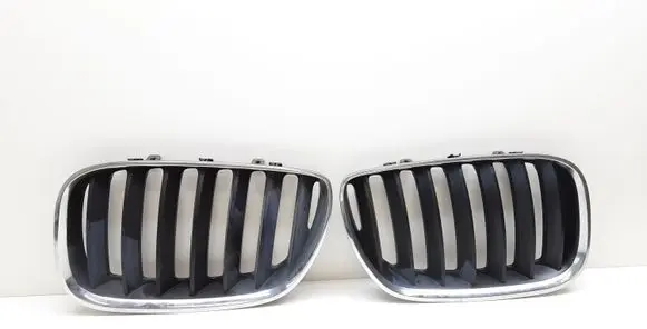 BMW X5 E53 Front bumper upper radiator grill 7124815 51137124815 7124816