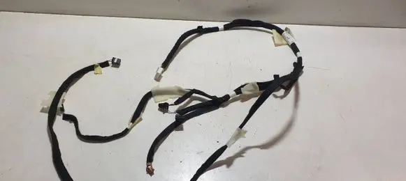 Dacia Jogger Other wiring loom 241607979R 161659