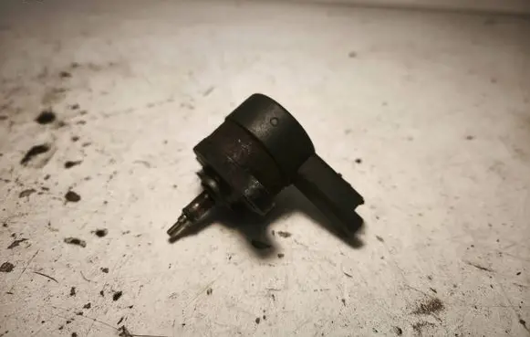 Peugeot 307 Fuel pressure regulator 0281002493
