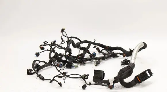 Other wiring loom