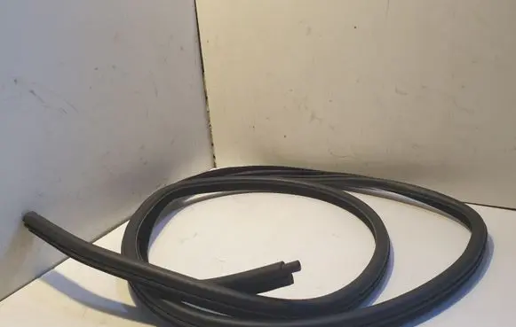 BMW 3 E46 Rear door rubber seal (on body) 8194681
