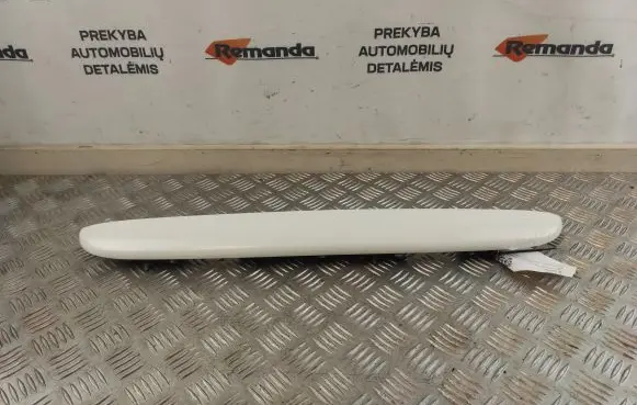 Trunk door license plate light bar