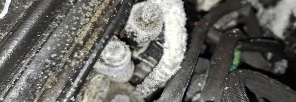 Renault Clio III Fuel injector 