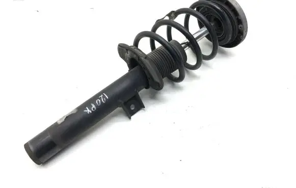 BMW X3 F25 Front shock absorber with coil spring 6787137 824904006273