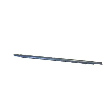 Dodge Charger Rubber seal rear door window/glass 61898A