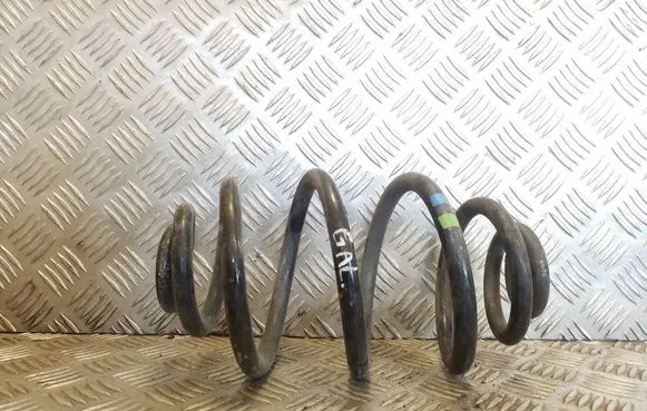 Rear coil spring