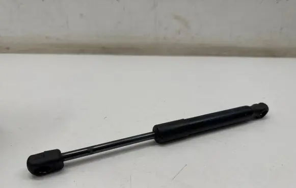 Front bonnet/hood damper/strut