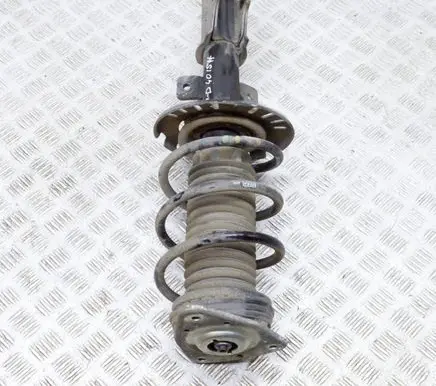 Opel Grandland X Front shock absorber/damper 9819718680
