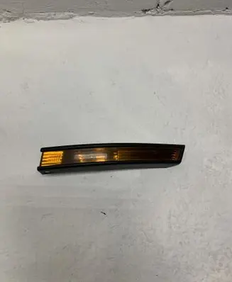 Volkswagen PASSAT B6 Front indicator light 3C09530410