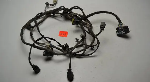 Other wiring loom