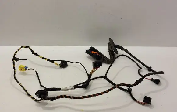 Volkswagen PASSAT CC Front door wiring loom 5N0959843B 3C8971121CC