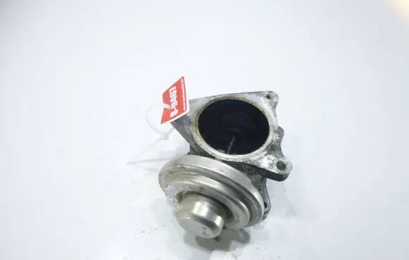 Volkswagen Golf Plus EGR valve 038131501AN 043713023