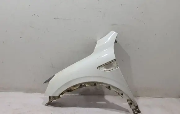 Fender