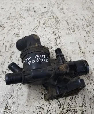 Nissan Qashqai Thermostat 110617671R