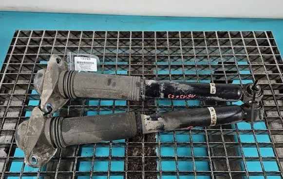 Toyota Corolla E210 E21 Rear shock absorber/damper 48530-02N10 IMPRK1513629