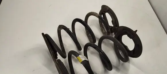 Tesla Model 3 Rear coil spring 104447200G