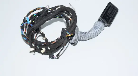 BMW 1 F20 F21 Front door wiring loom 9251721