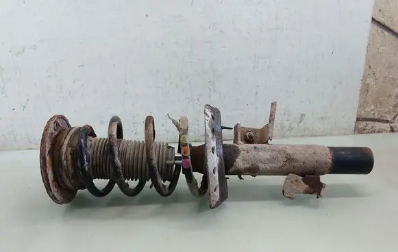 Ford Galaxy Front shock absorber with coil spring