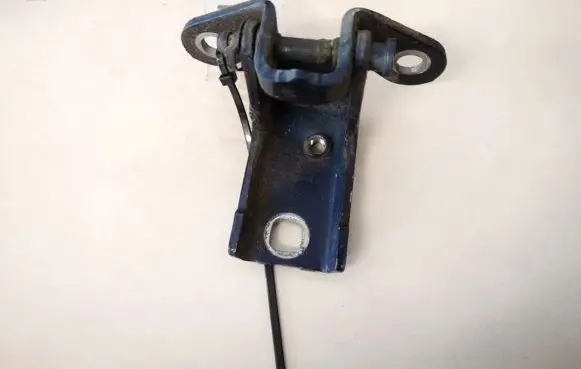 Rear door lower hinge
