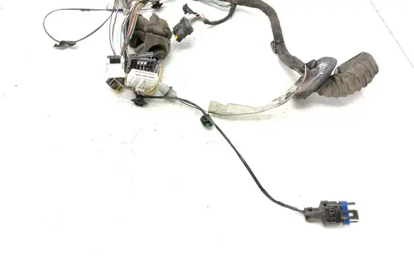 Renault Laguna II Front door wiring loom 8200308981