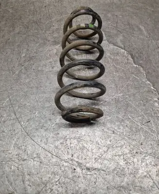 Rear coil spring