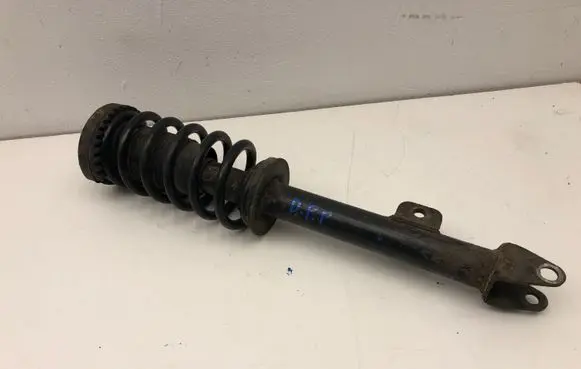 Chrysler 300 - 300C Front shock absorber with coil spring 04895627AB