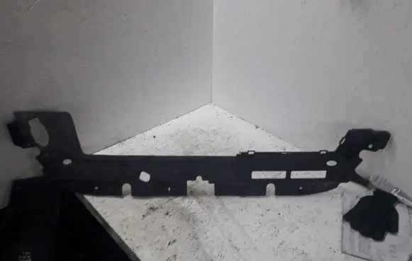 Engine bonnet/hood lock trim molding