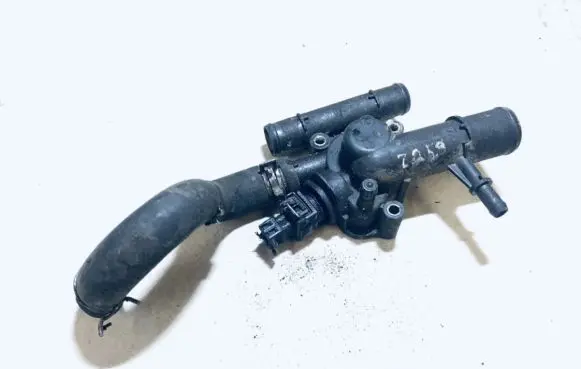 Renault Laguna II Engine coolant pipe/hose 8200974346