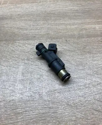 Peugeot 406 Fuel injector 01F005A