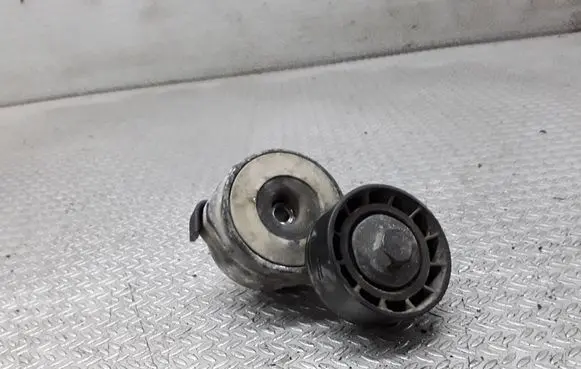 Peugeot 206 Generator/alternator belt tensioner