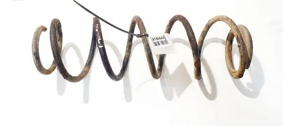 Rear coil spring