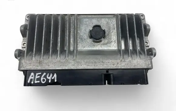 Engine control unit/module ECU
