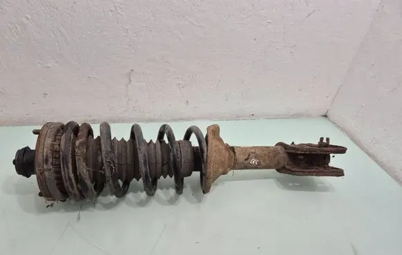 Land Rover Freelander Rear shock absorber with coil spring 
