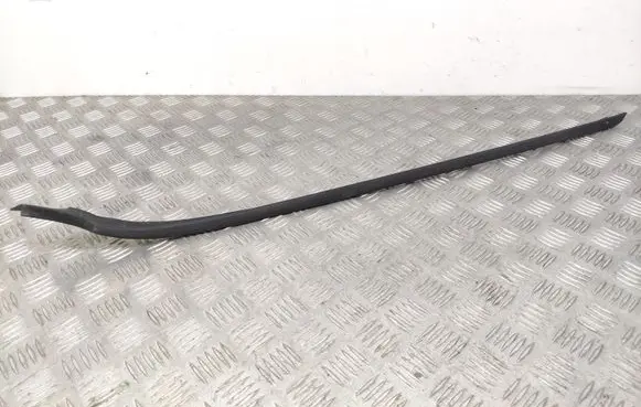 Ford Fiesta Windshield trim