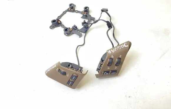 Multifunctional control switch/knob