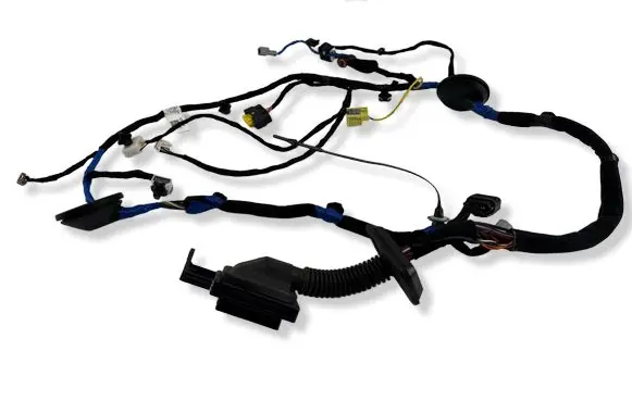 Front door wiring loom
