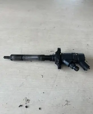 Citroen C5 Fuel injector 0445110188