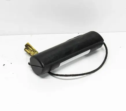 Volkswagen Phaeton Rear door airbag 3D0880441A