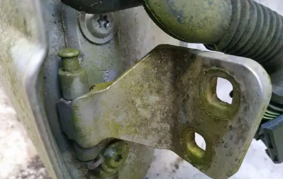 Rear door lower hinge