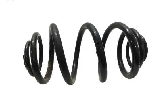 Renault Trafic III (X82) Rear coil spring