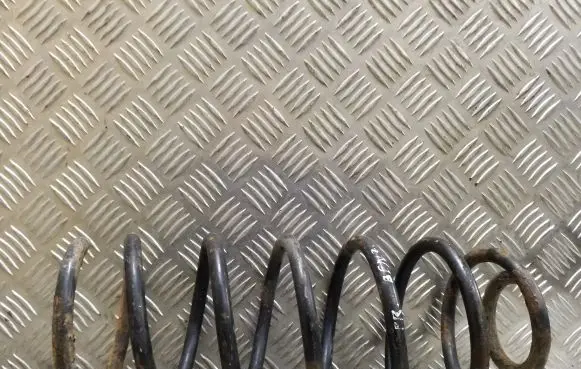 Front coil spring