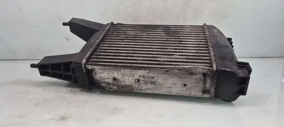 Nissan Juke I F15 Intercooler radiator 144613ZU0B
