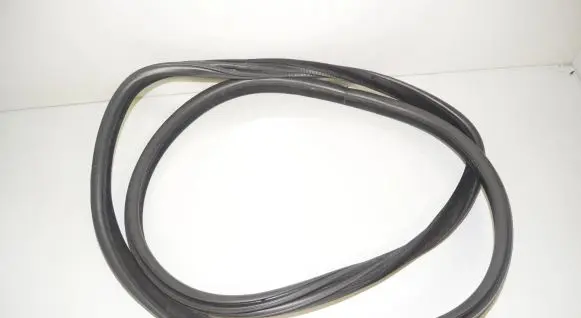 BMW X6 F16 Rubber seal rear door 7317812 51727317812